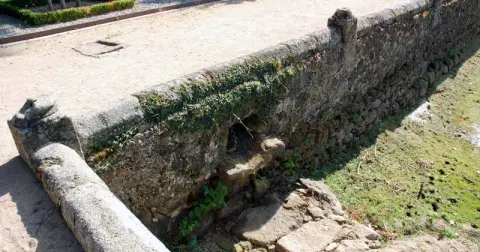 Peces muertos en El Bosque de Béjar y otras vergüenzas