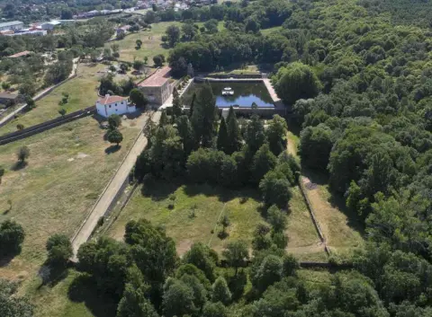 El Bosque de Béjar