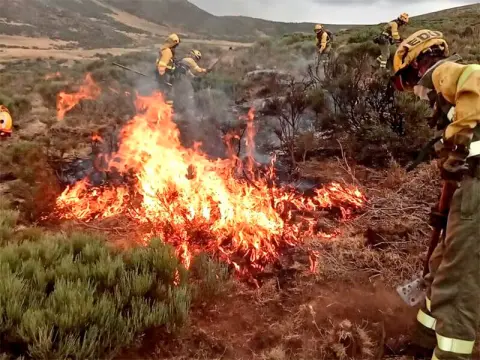 Una negligencia causa un incendio en Lagunilla