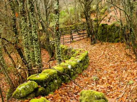 Ruta entre Béjar y Candelario, ARCHIVO