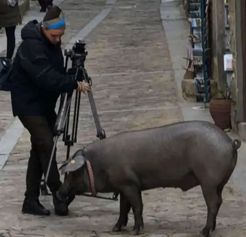 Cerdo de San Antón por las calles de Mogarraz