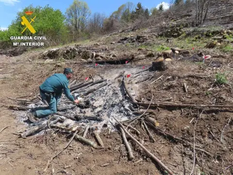 Vista parcial del incendio forestal en Puerto de Béjar causado por una quema negligente