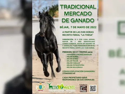 Mercado de Ganado en Béjar