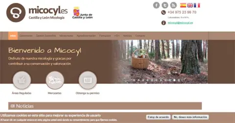 La Junta expedirá permisos online para recoger setas