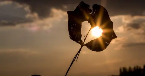 Protección Civil y Emergencias alerta por ola de calor durante los próximos días