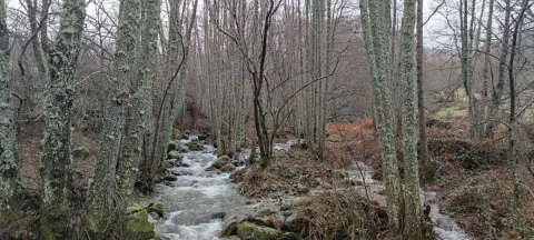 Paisaje del río a su paso por Candelario antes de los vertidos