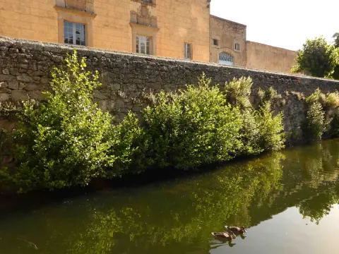 El Bosque de Béjar
