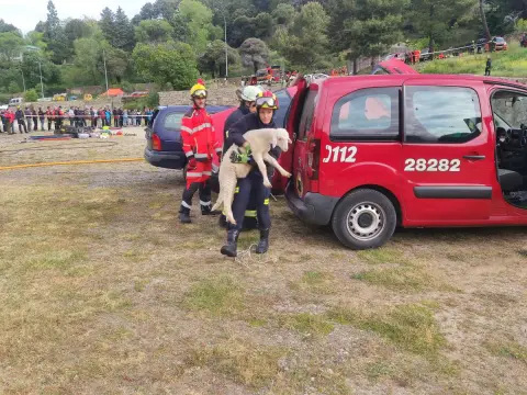 Bombero con una oveja rescatada en las manos