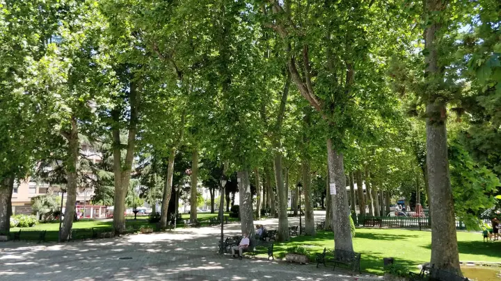 Parque, banco y personas sentadas